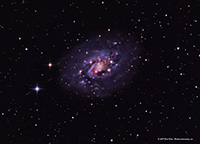 NGC 2403